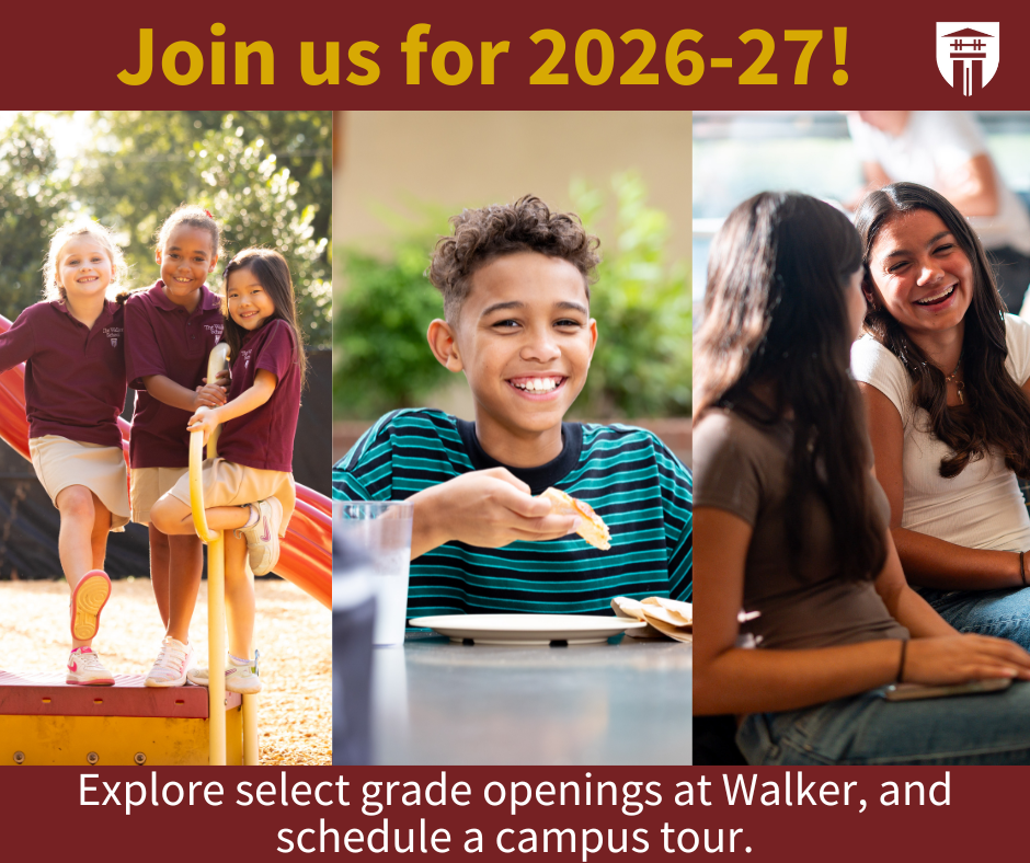 OriginalImage,,,Original