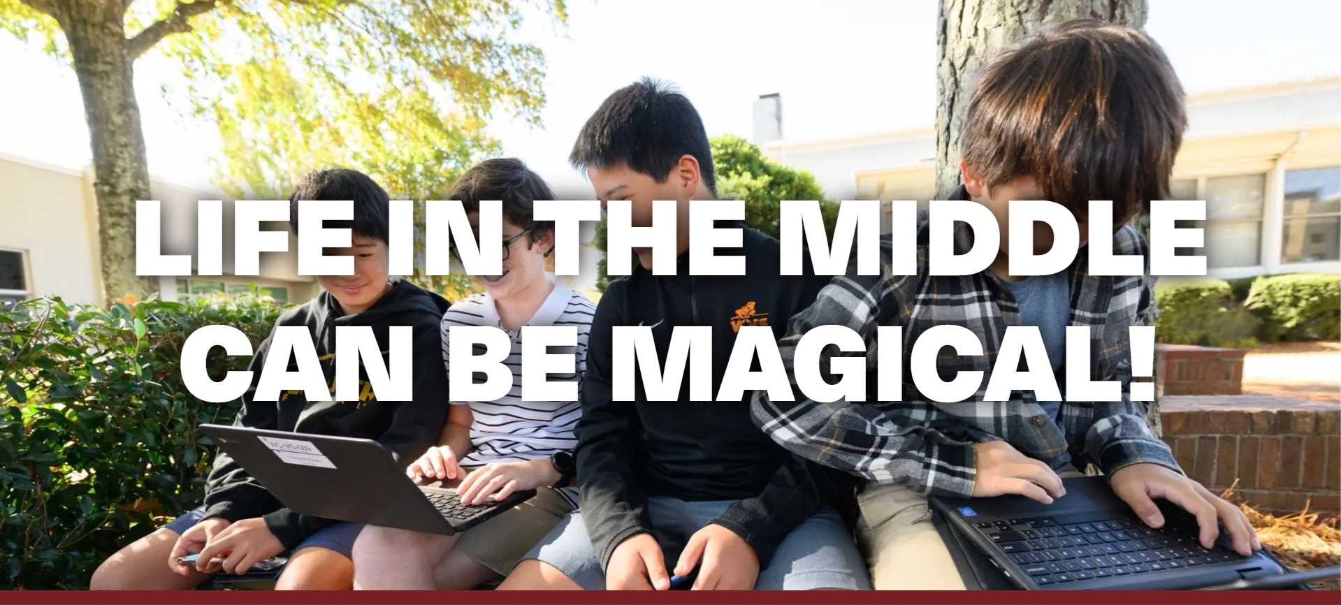 OptimizedImage,Optimized